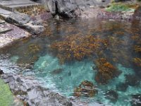 foto 20140902 1040 02