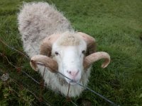 foto 20140902 1352 01