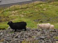 foto 20140902 1646 03