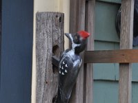 foto 20140910 1254 01