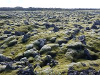 foto 20140904 1441 01