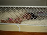 foto 20140911 0111 02