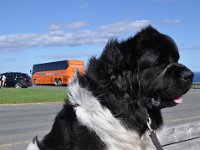 foto 20140908 1514 01